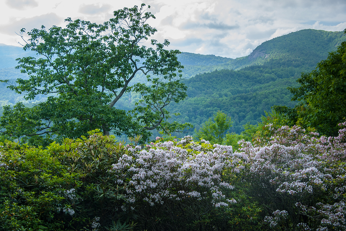 Blue-Valley-Land-highlands-nc-peter-ray