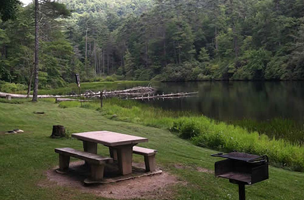 Van Hook Glade Campground Laurel Magazine