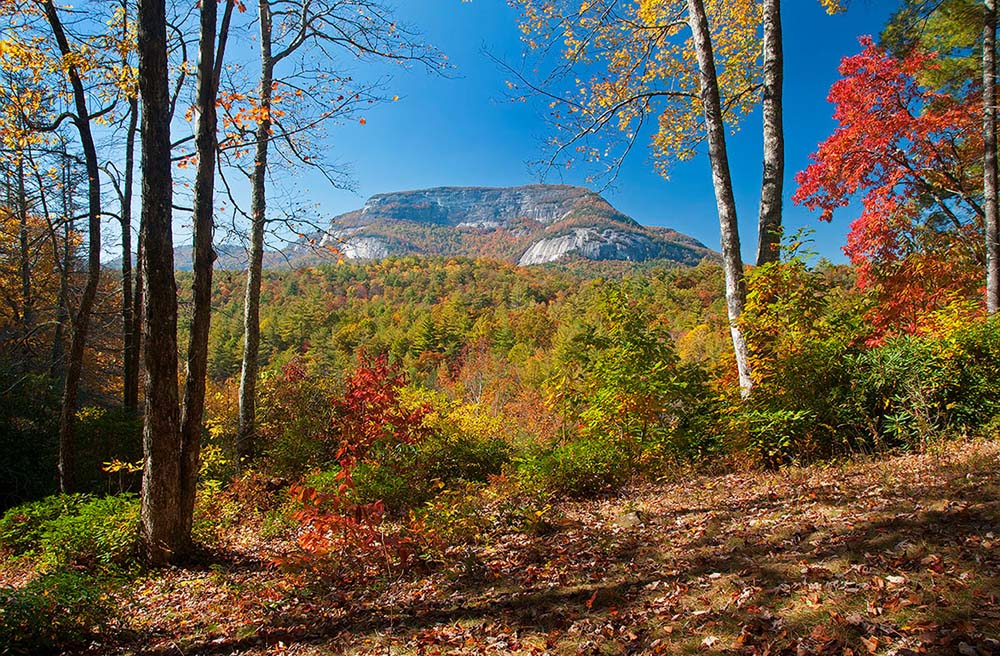 Whiteside Mountain Hike Laurel Magazine