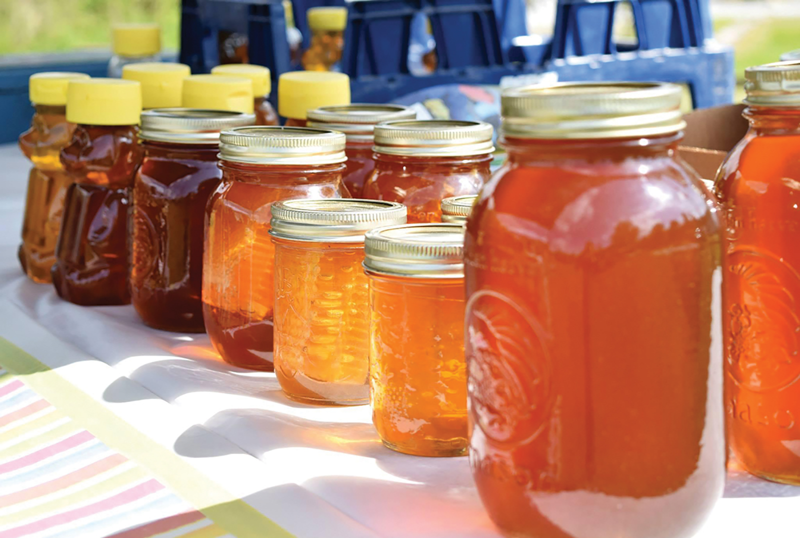 Blue_ridge_farmers_co-op_honey_cashiers_nc