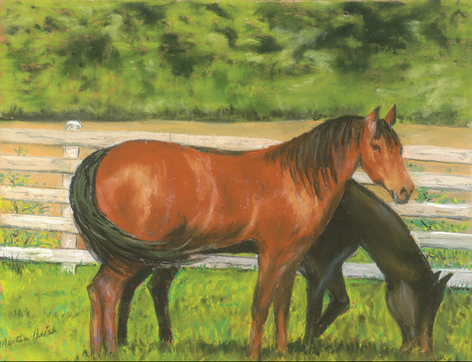 Martha_Parish_artist_highlands_nc_horses