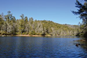 cliffside_lake_highlands_nc_wide_shot