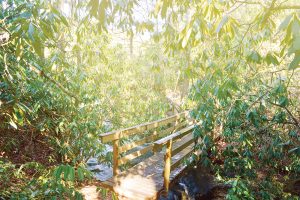 cliffside_lake_highlands_nc_wide_shot_bridge