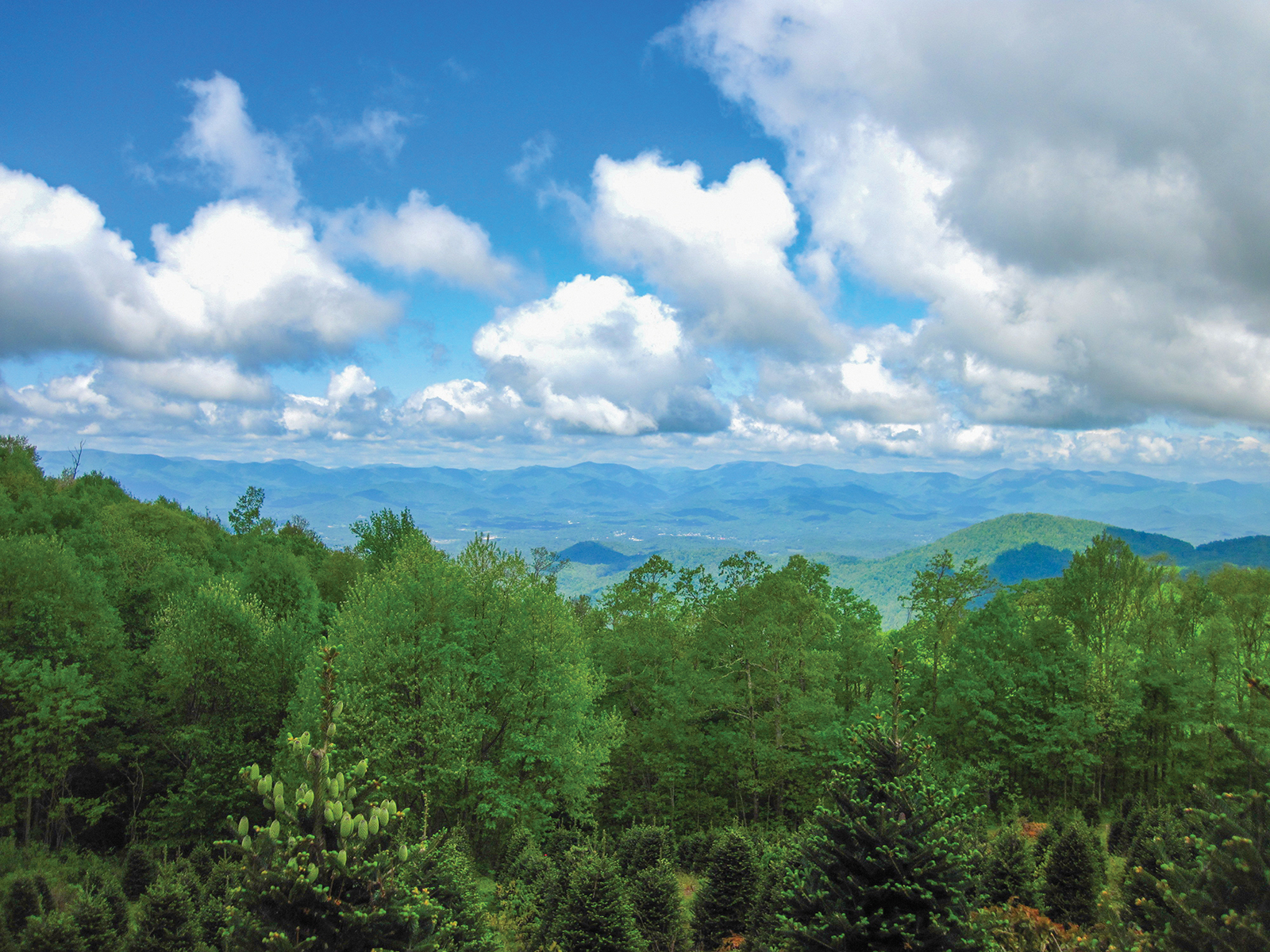 Old_Rocky_Mountain_Highlands_CAshiers_land_trust