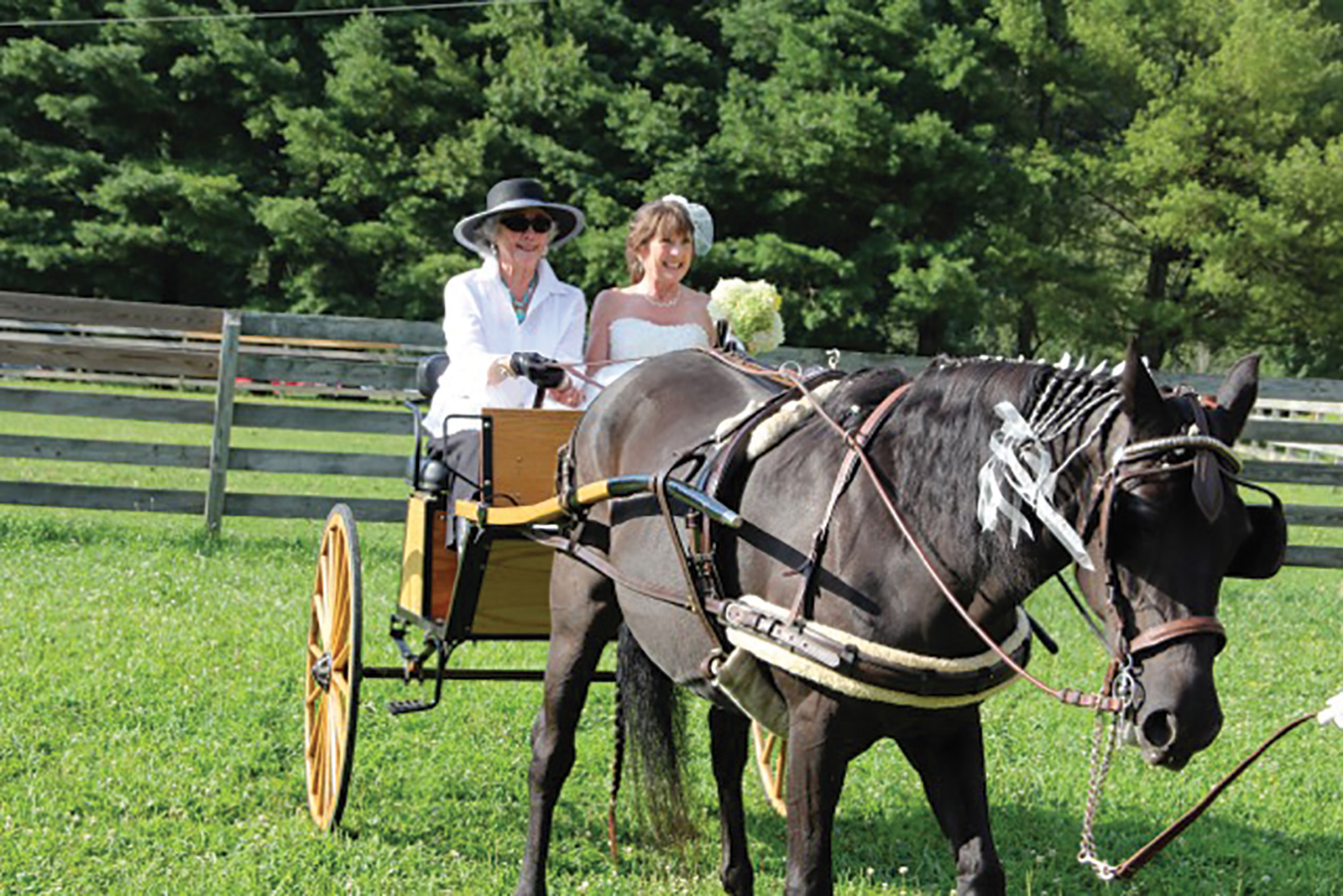 carpe_diem_farms_highlands_Nc