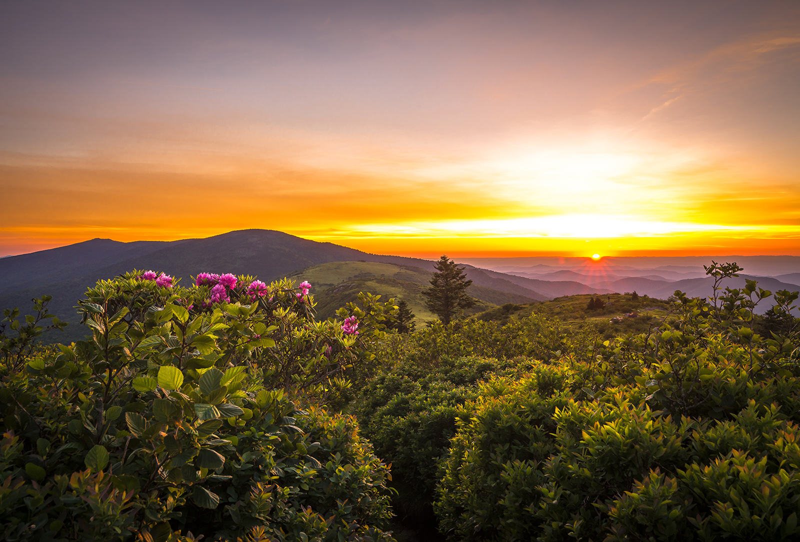 rhodo-mountains-sky-cashiers-the-highlands-north-carolina