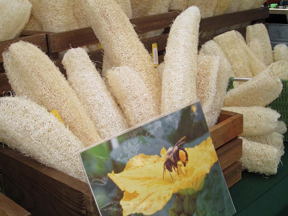 village-square-craft-show-highlands-nc-sponge