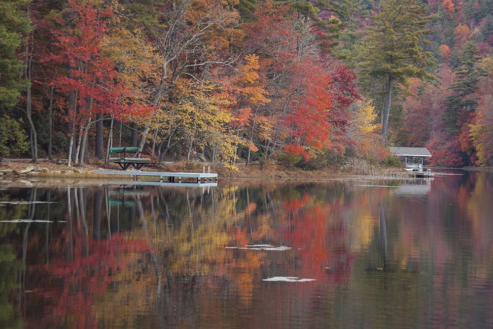 McKee Properties Laurel Magazine