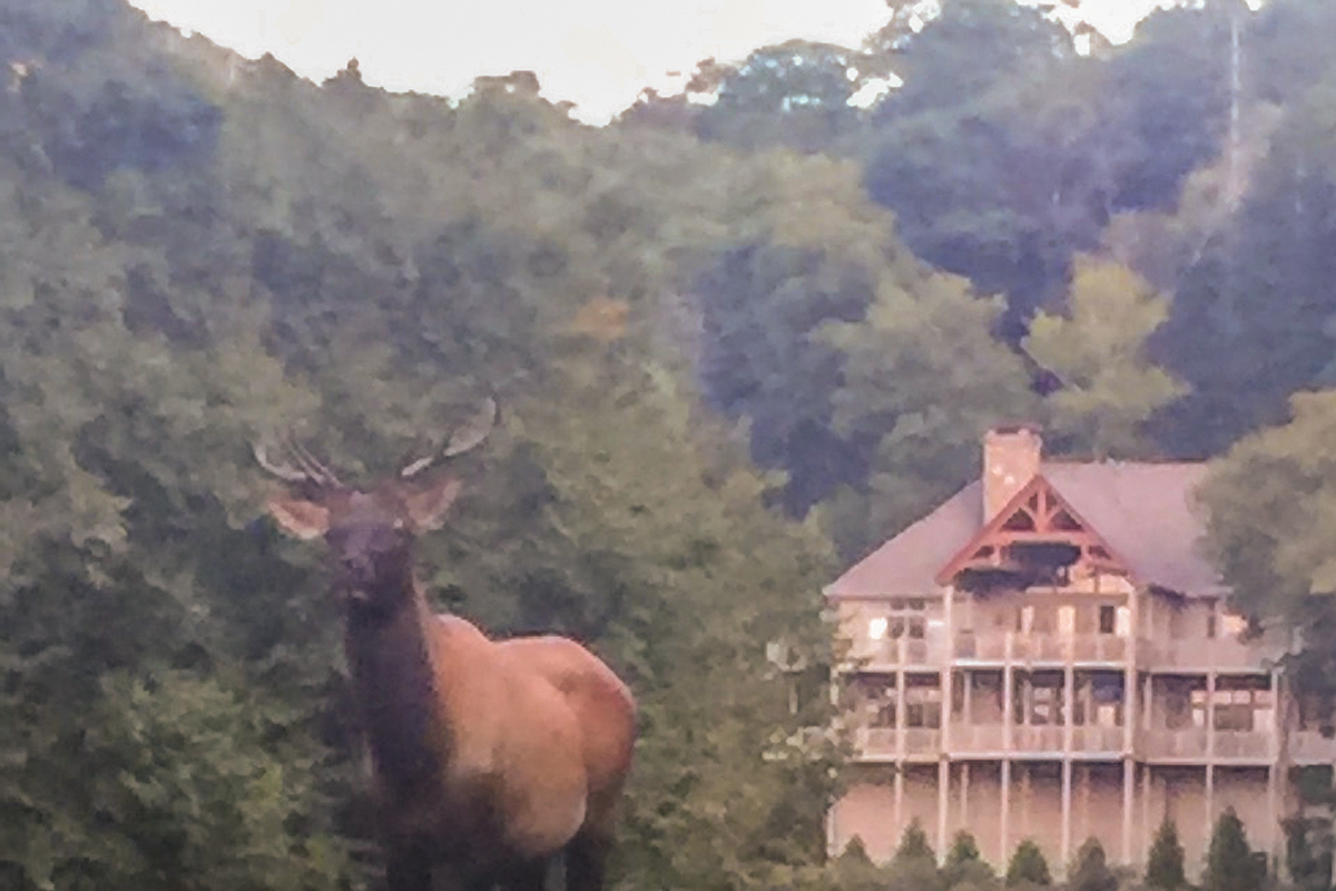 Elk-highlands-country-club-nc