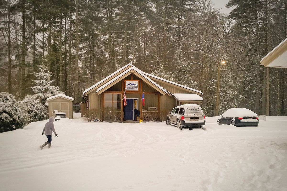 cashiers-highlands-humane-society-nc-snow