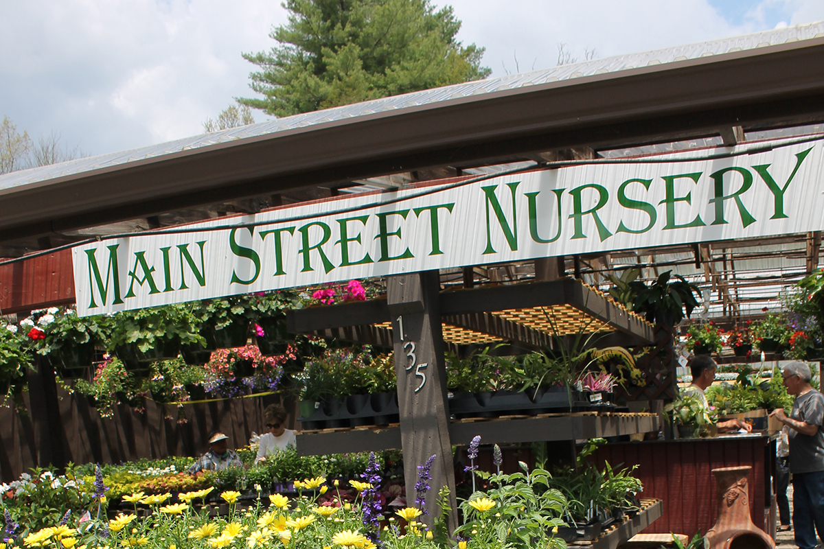 main-street-nursery-highlands-nc