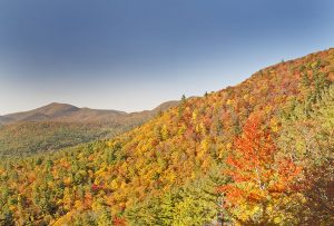 Glen-Falls-charles-johnson-fall-view-highlands-nc