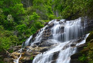 Glen-Falls-charles-johnson-spring-highlands-nc