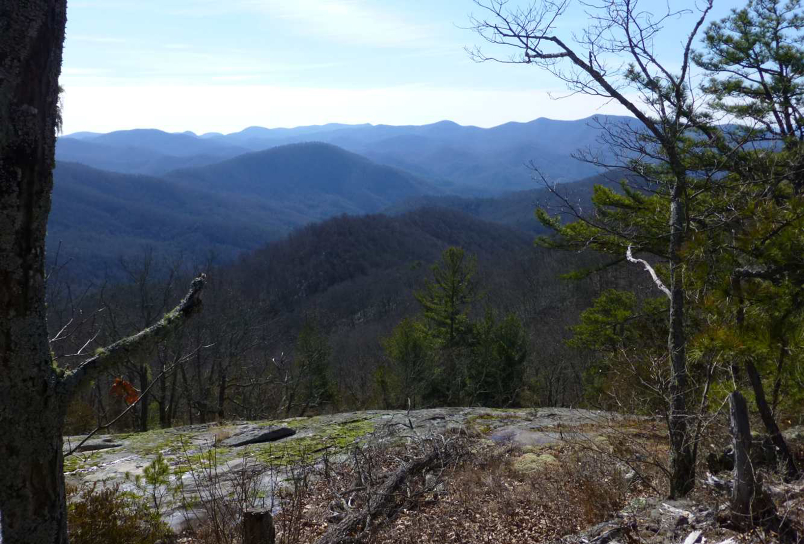 Yours-Alone-to-Enjoy-franklin-nc-land-for-sale-view