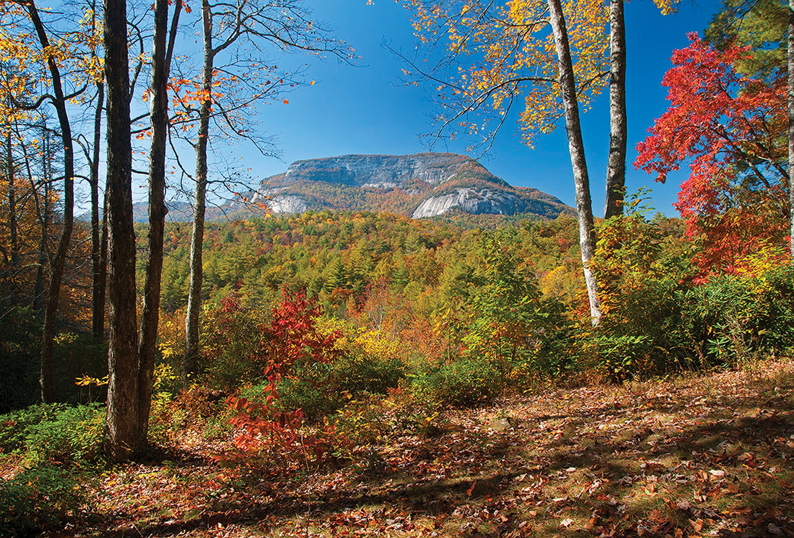 cashiers_highlands_whiteside_mtn