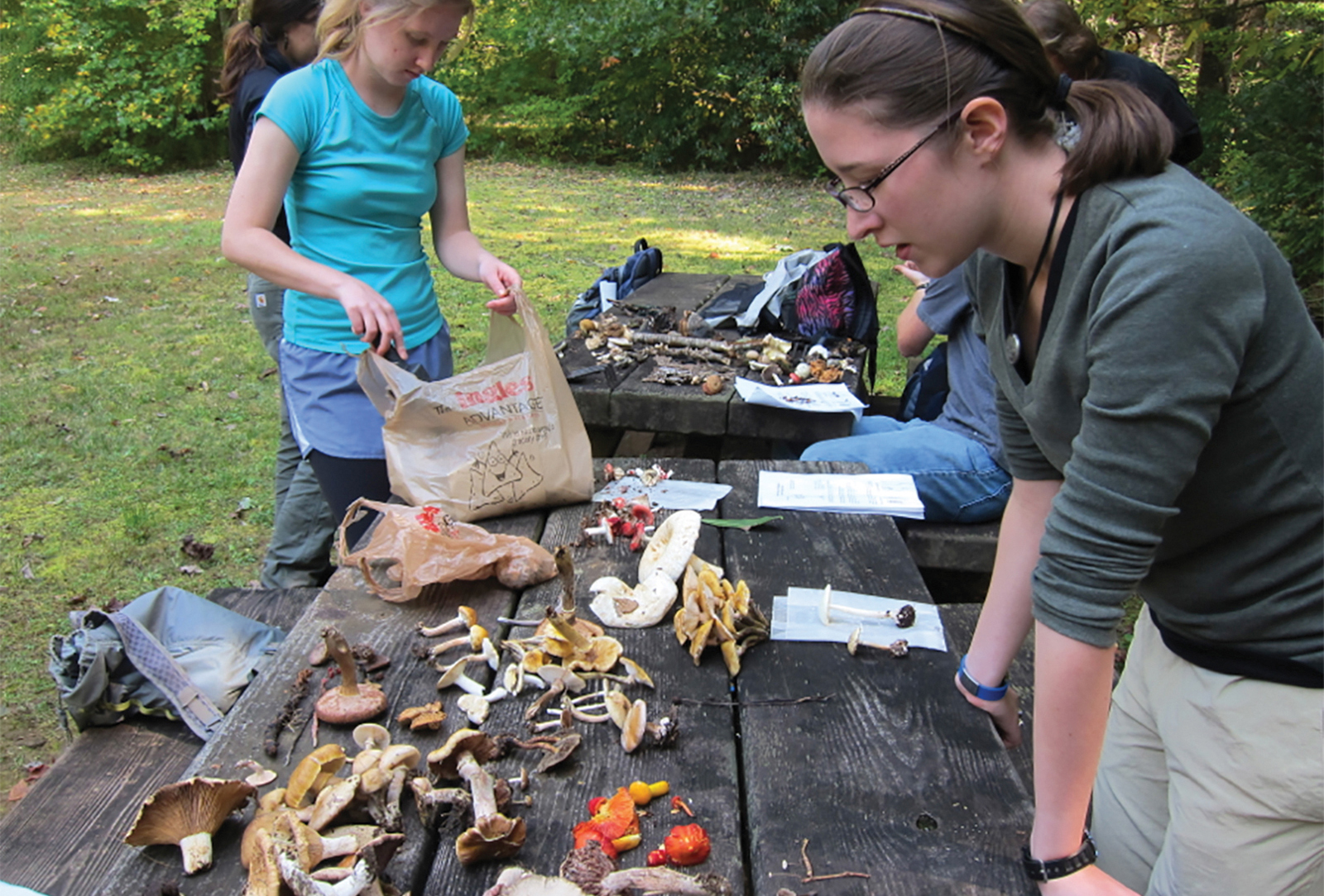 highlands_nc_biological_station-mushrooms