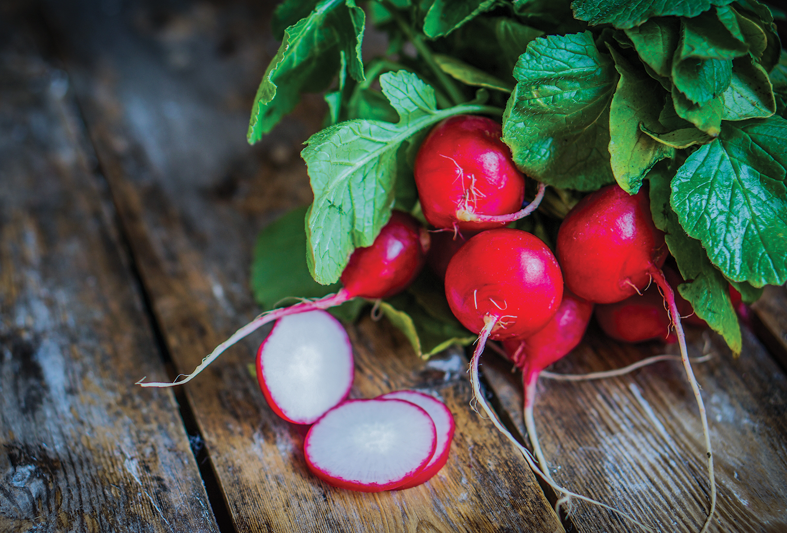 radishes