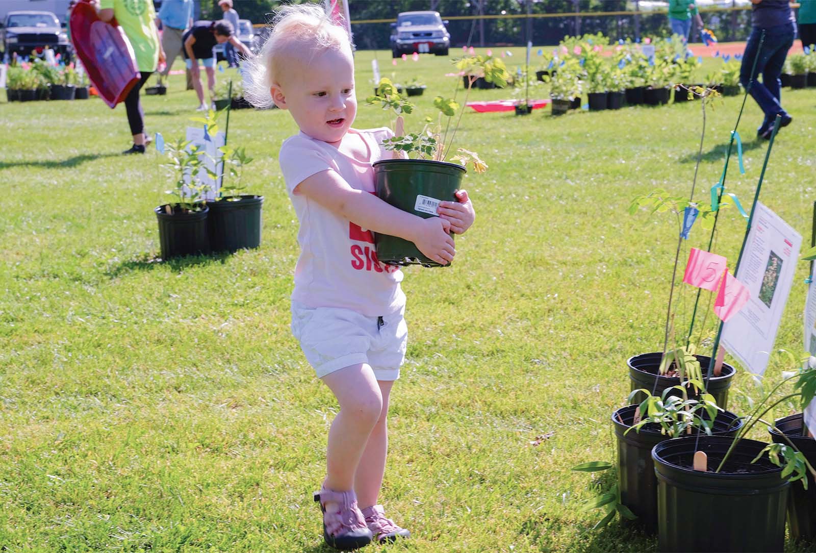 mountain-garden-club-plant-sale-the-highlands-nc