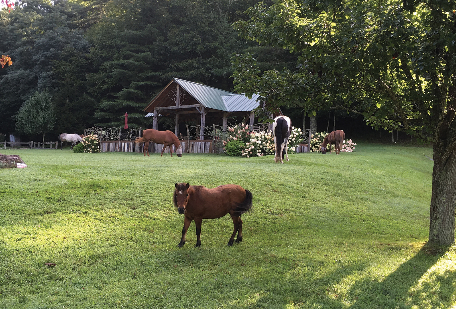 carpe-diem-farms-highlands-nc