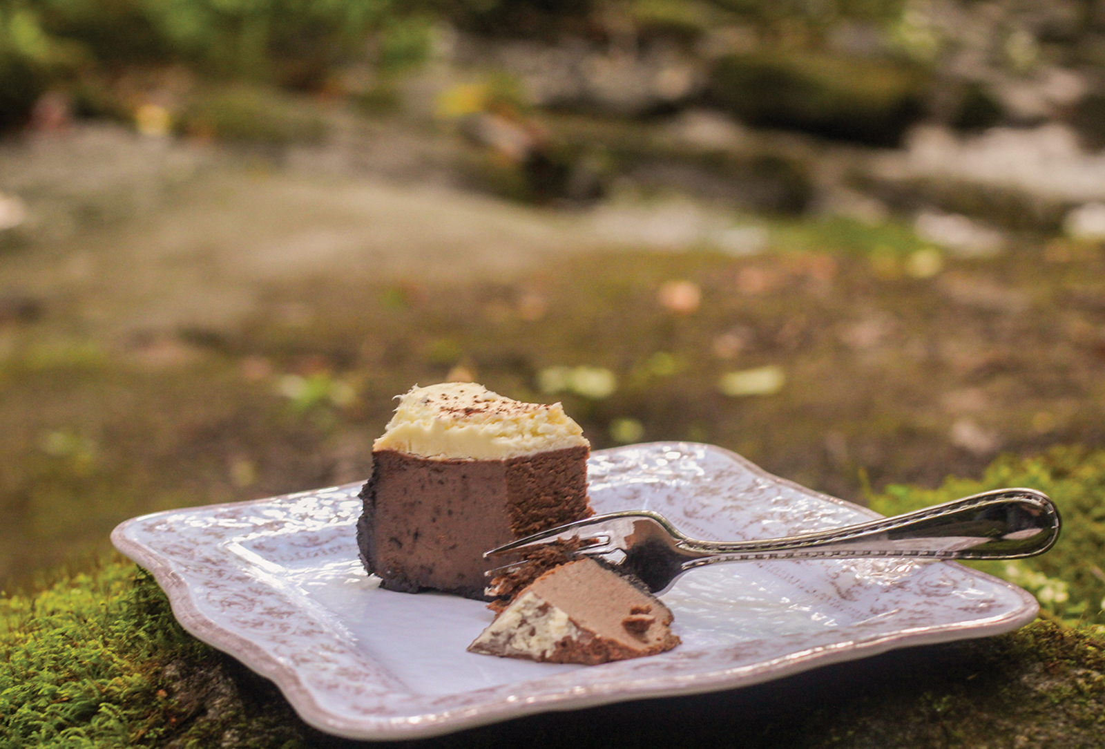 national-eat-outside-day-chocolate_cheesecake