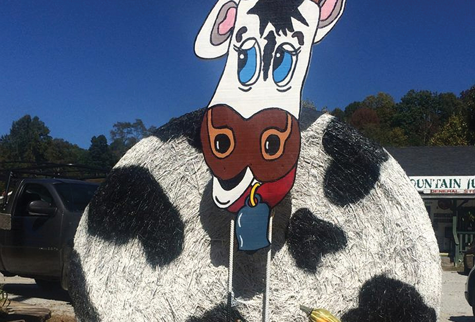 sky-valley-fall-festival-cow