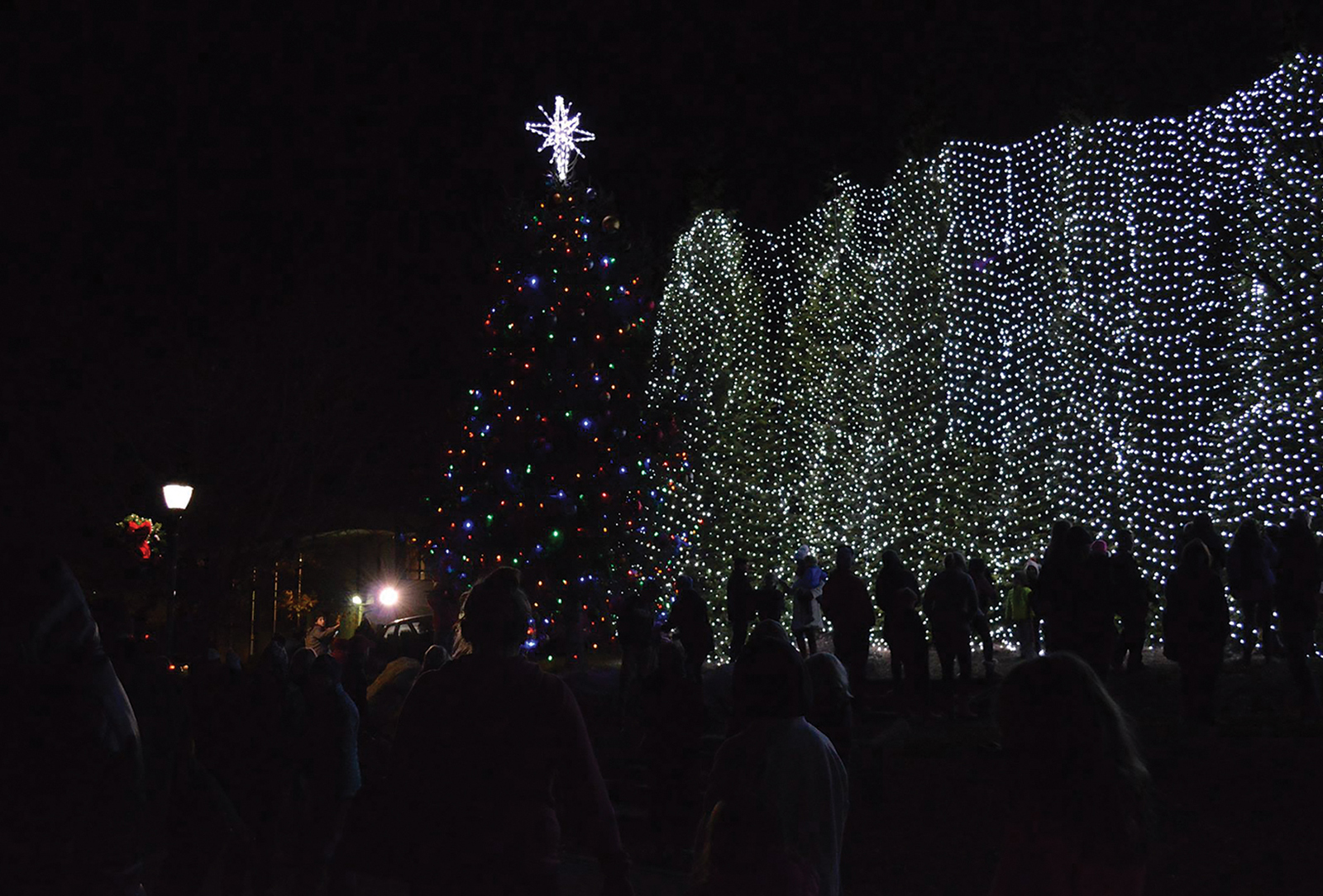 highlands-christmas-tree-nc