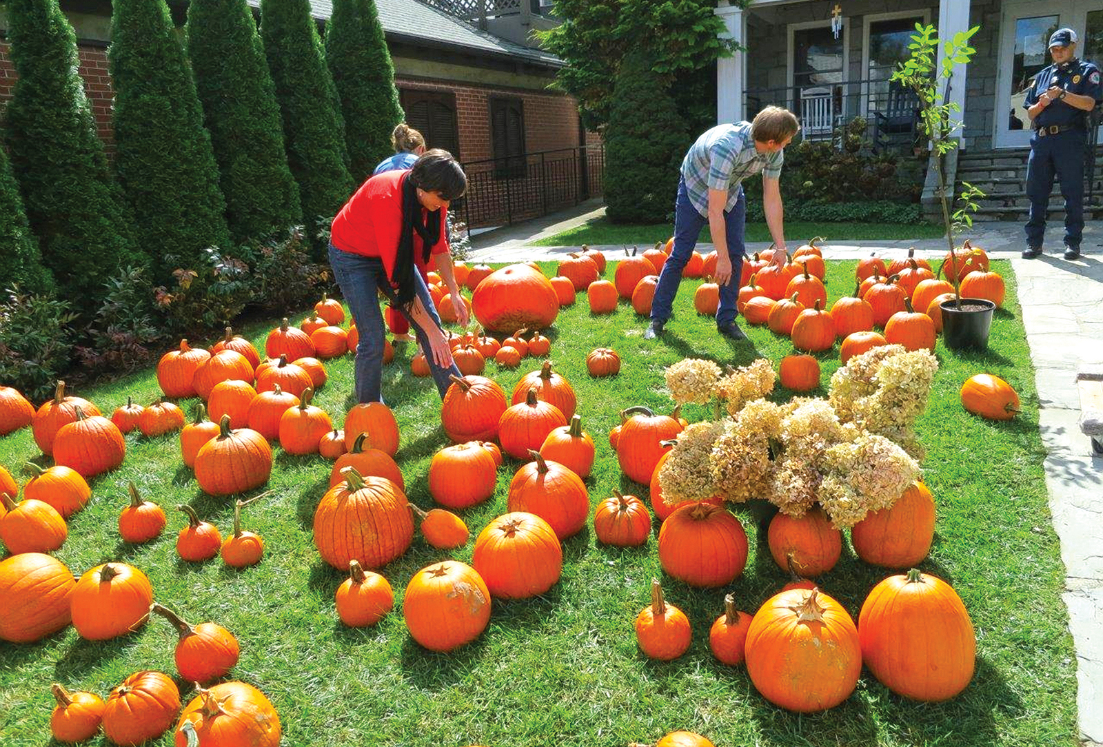 humc-pumpkin-patch-nc