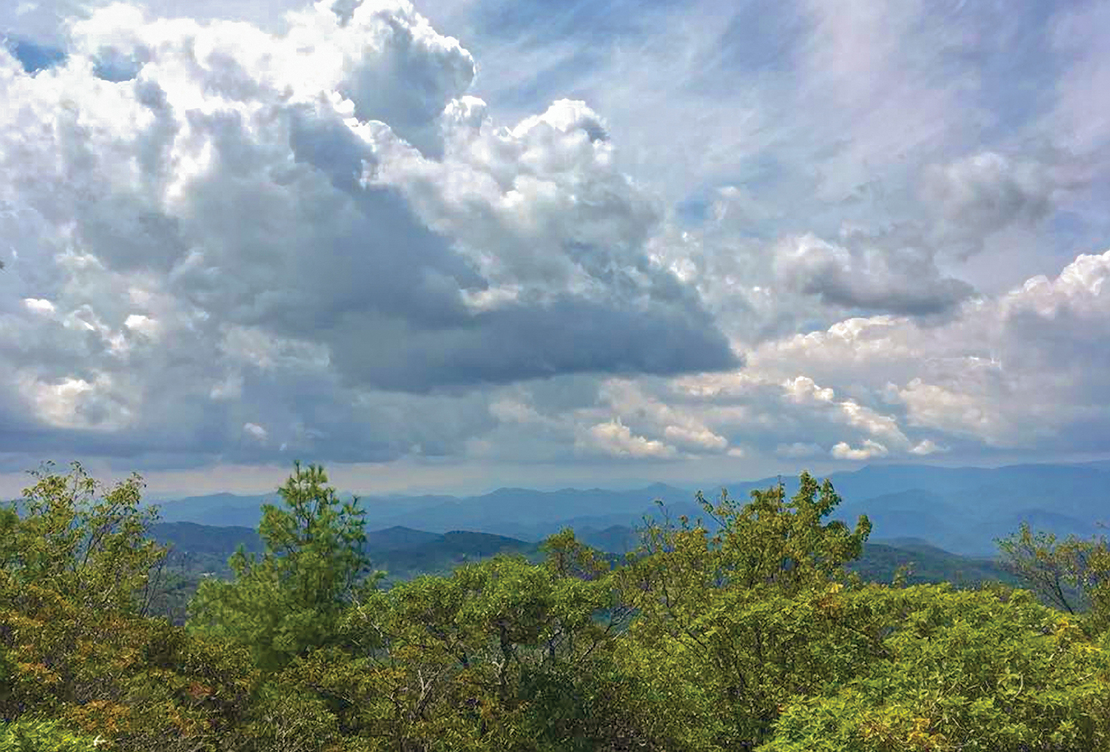 scaly-mountain-highlands-nc