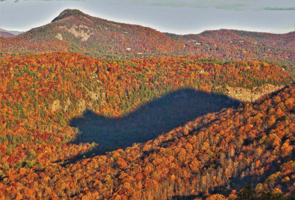 Preserving the Bear Shadow The Laurel Magazine Highlands, NC