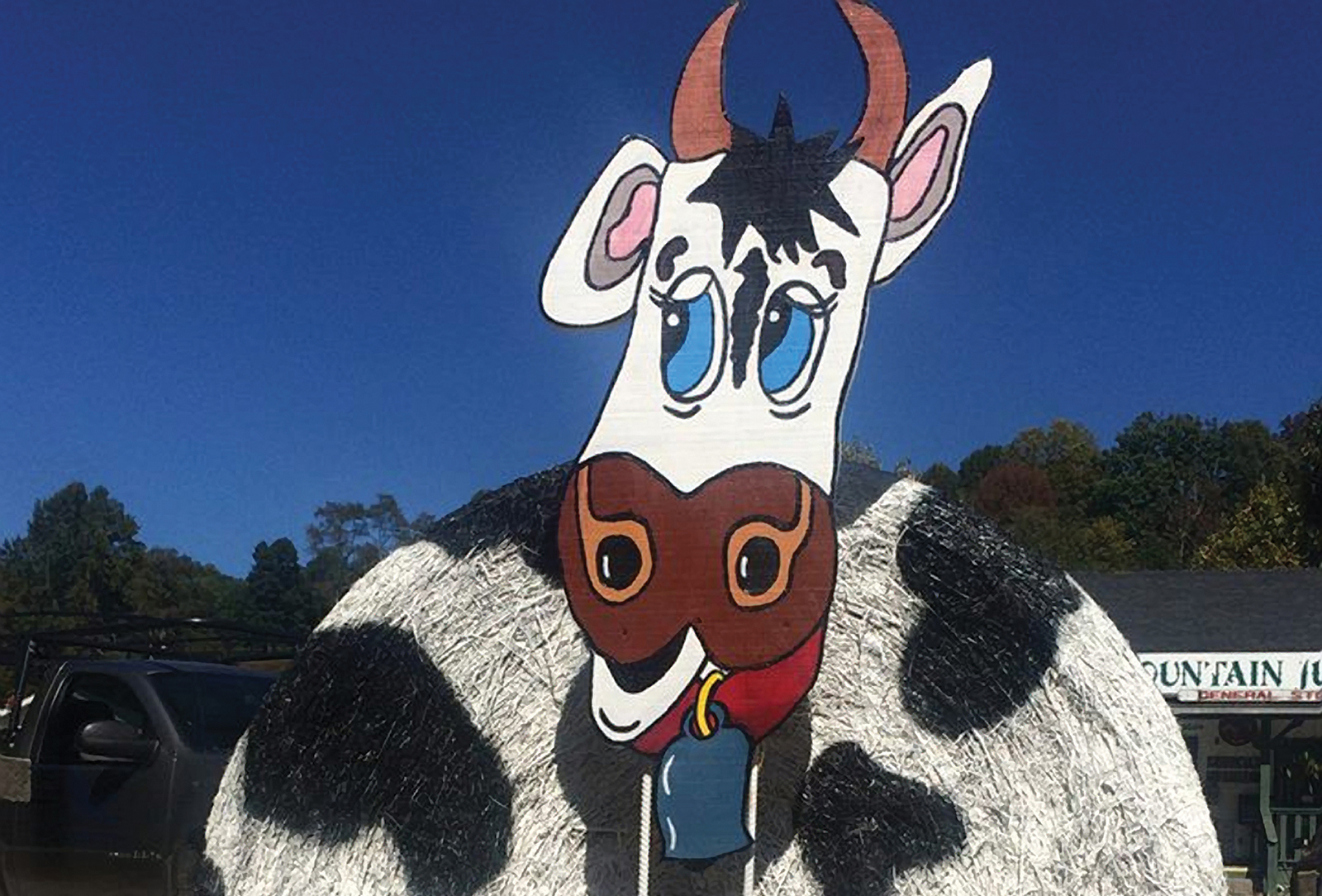 sky-valley-fall-festival-cow