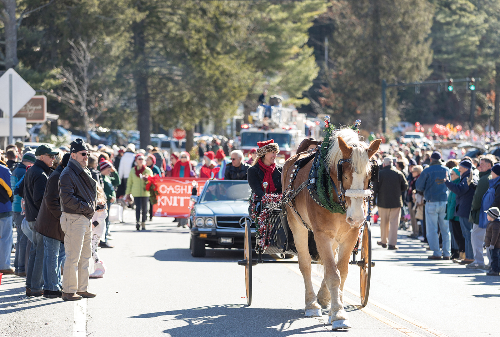 cashiers-christmas-parade-nc-horse