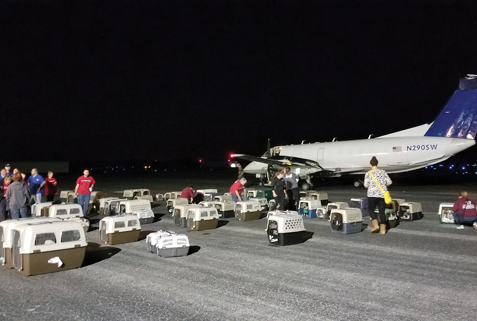 cashiers-highlands-humane-society-plane