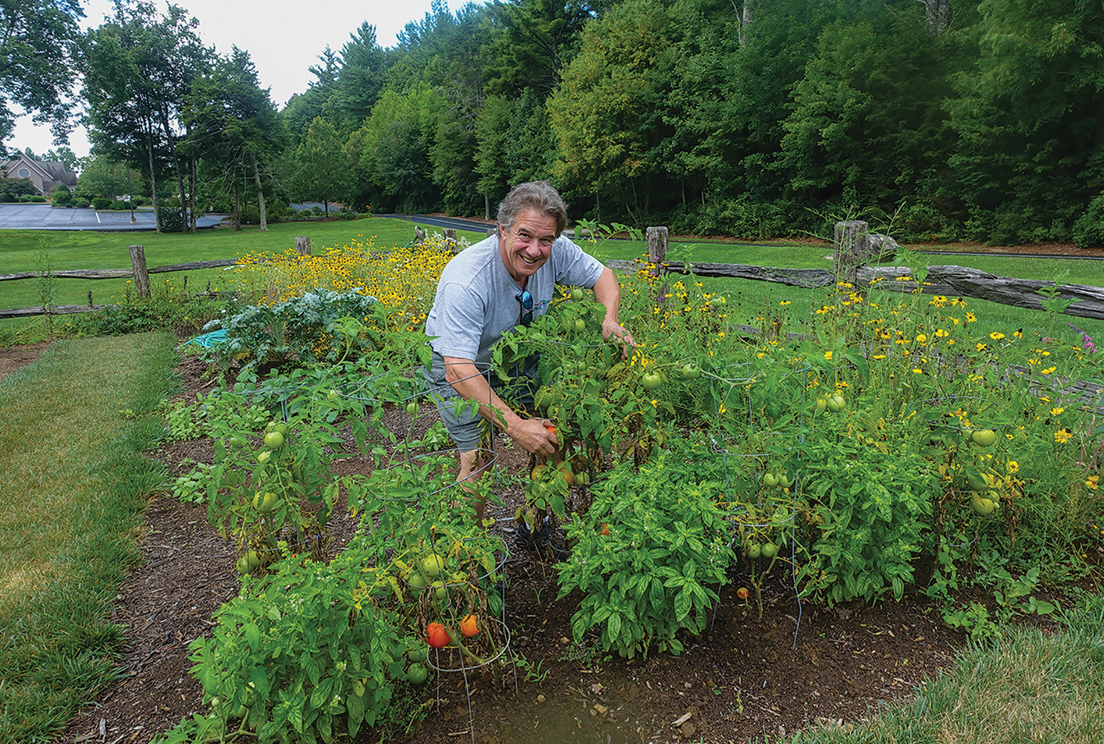 Marty Rosenfield Highlands NC Food Pantry Garden
