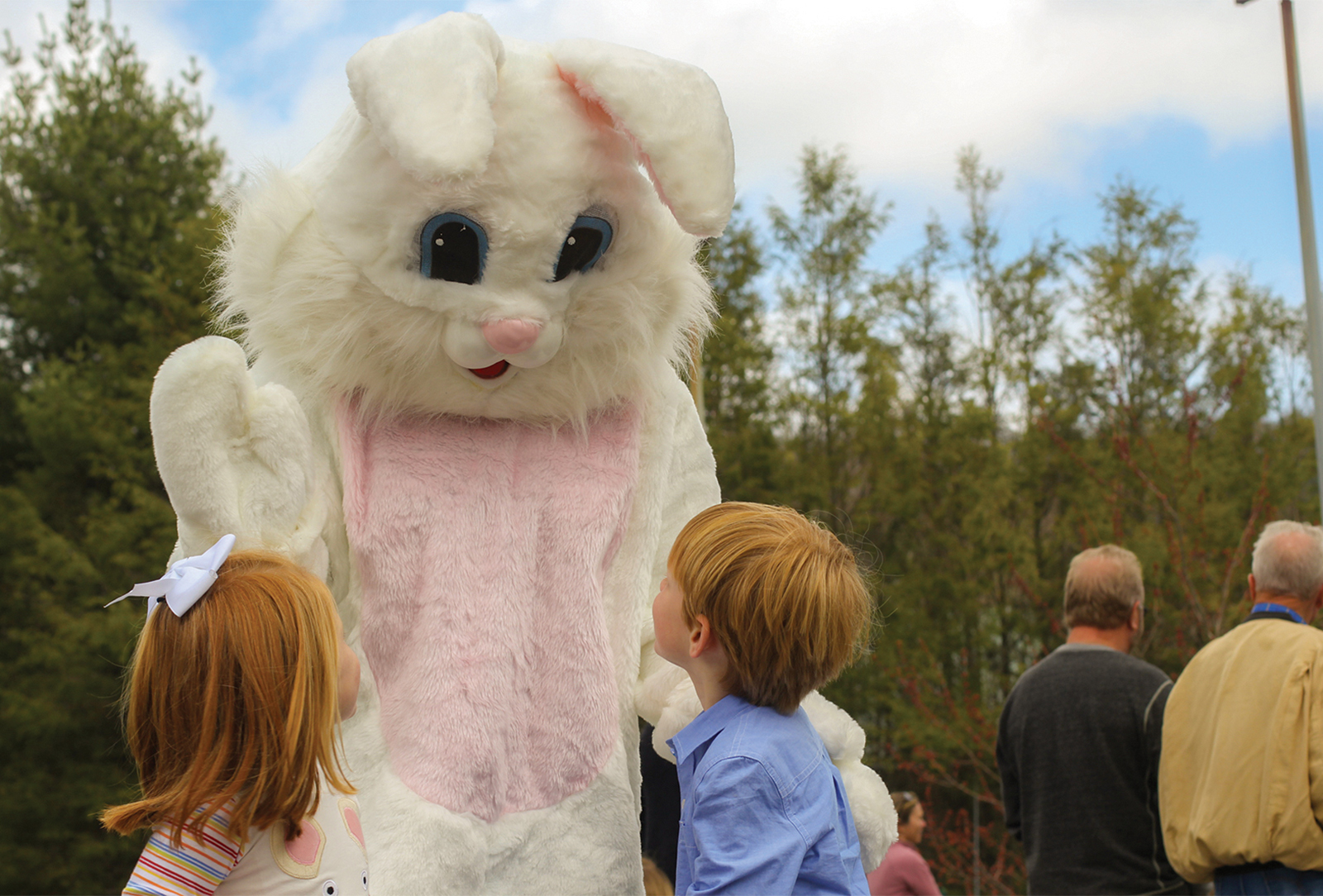 easter-highlands-cashiers-nc-bunny