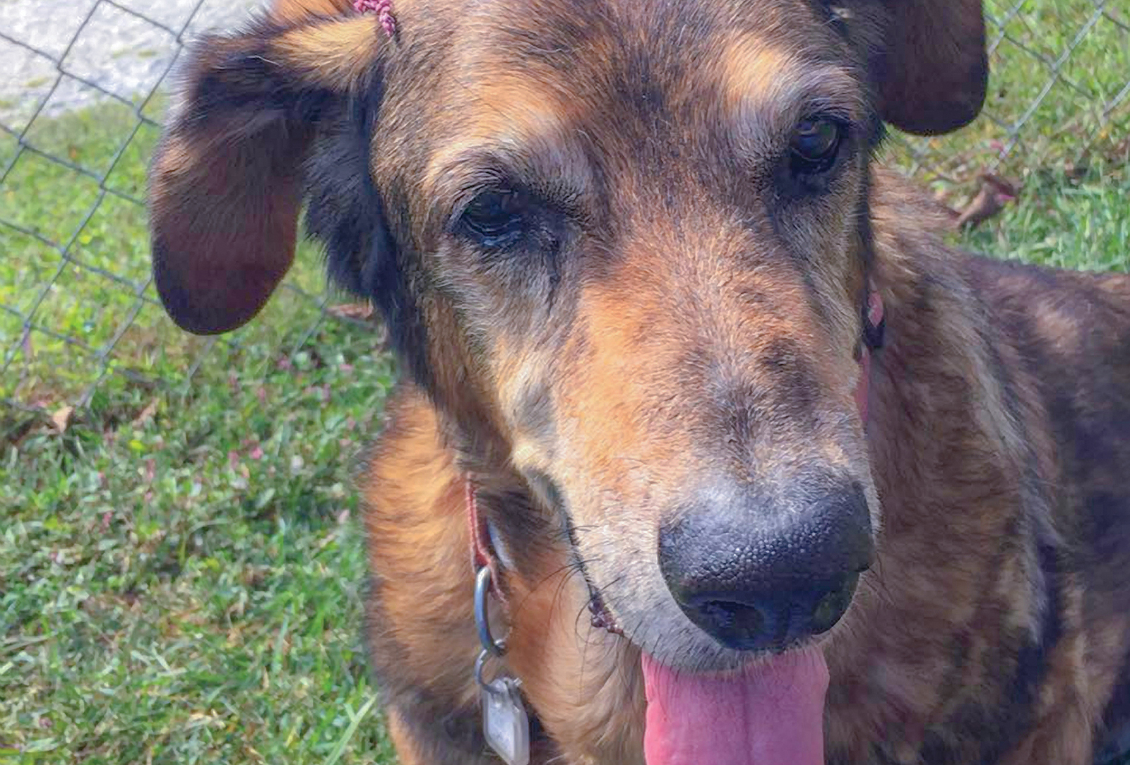 Heartwarming Happy Photo by Korah McDonald