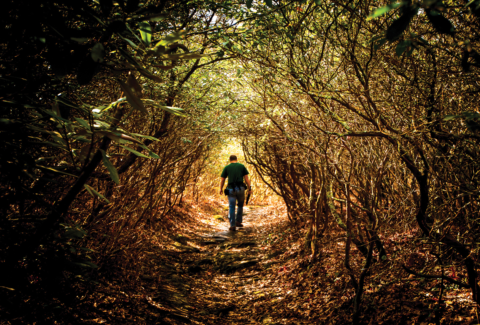 highlands-cashiers-trails-nc