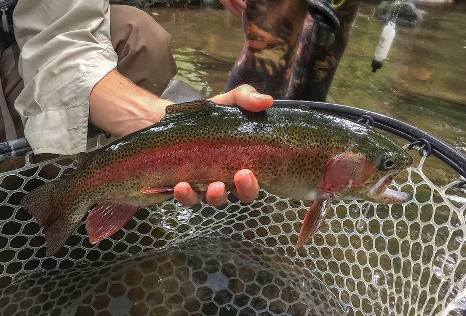 the-village-green-cashiers-nc-fly-fishing