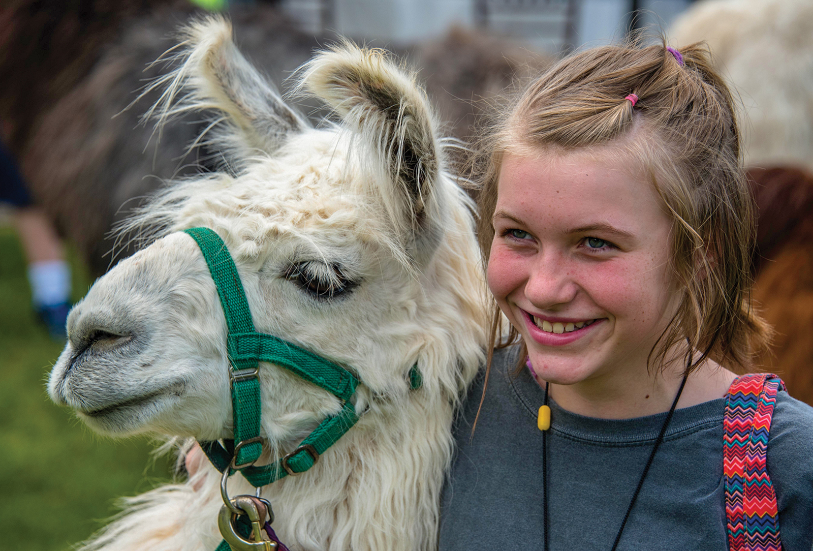 Jaida and her favorite llama friend, Lightning - Big Brother and Big Sisters of Highlands-Cashiers