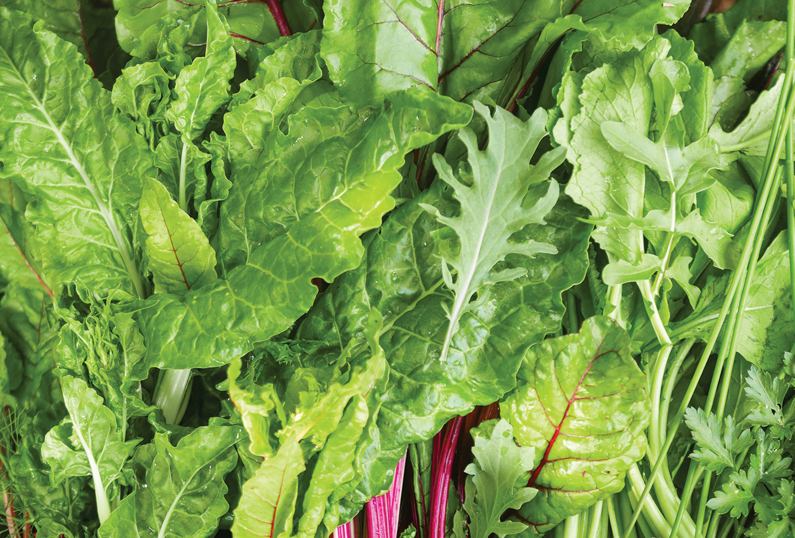 Top Five Leafy Greens