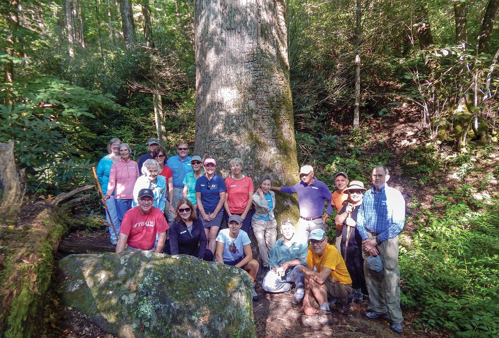 highlands cashiers land trust nc