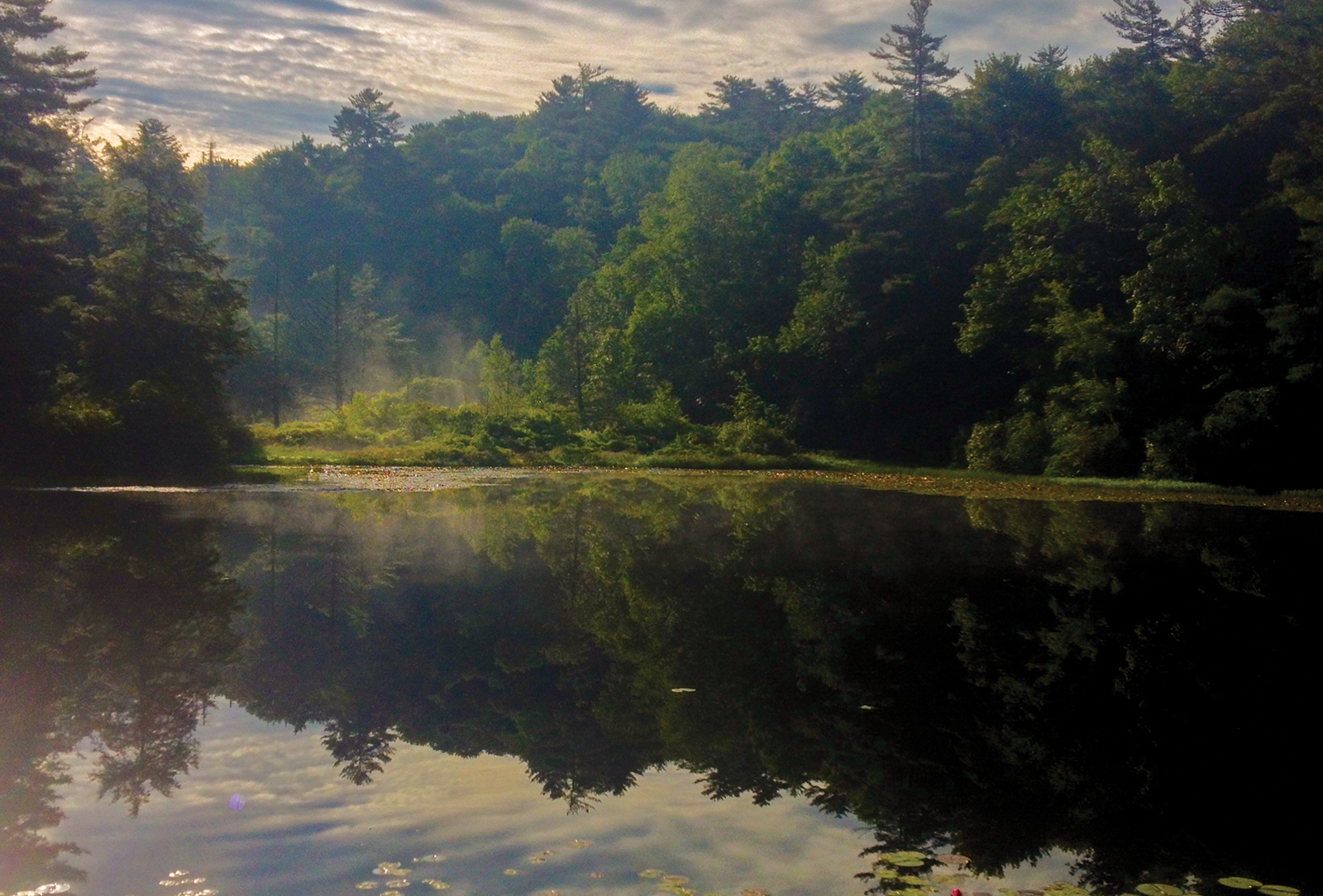 lake-highlands-biological-station-nc