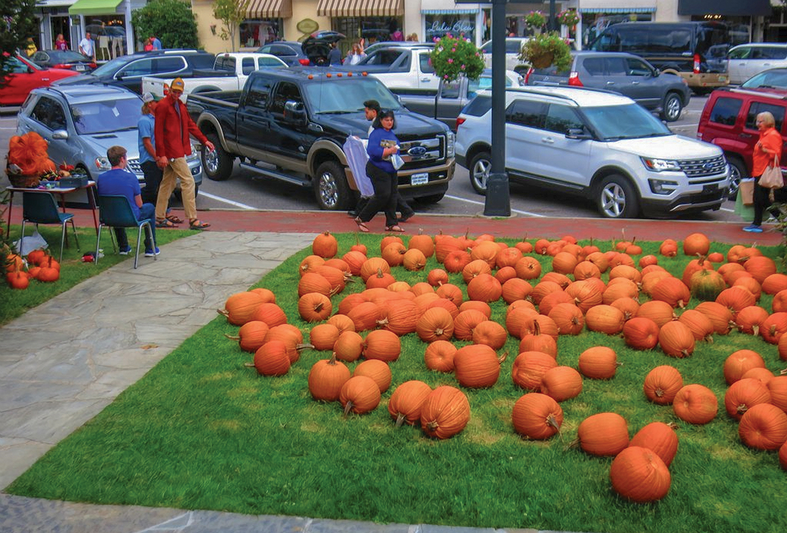 pumpkin-patch-highlands-nc