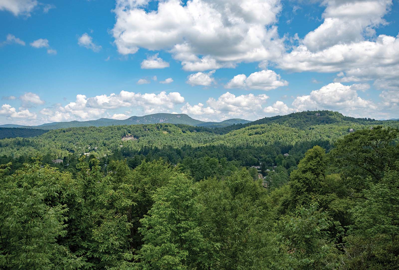 A Satulah Masterpiece