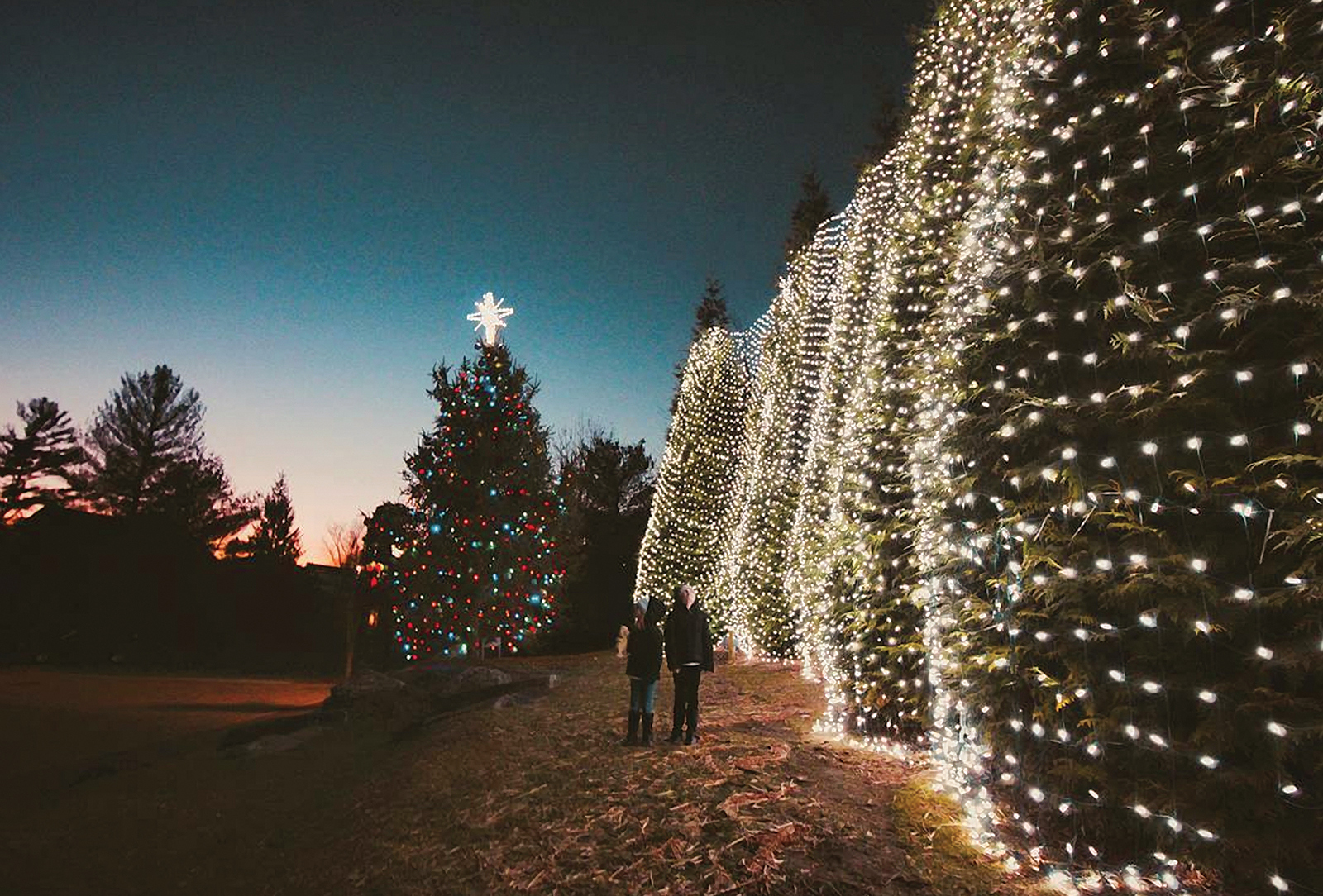 highlands nc christmas tree lighting