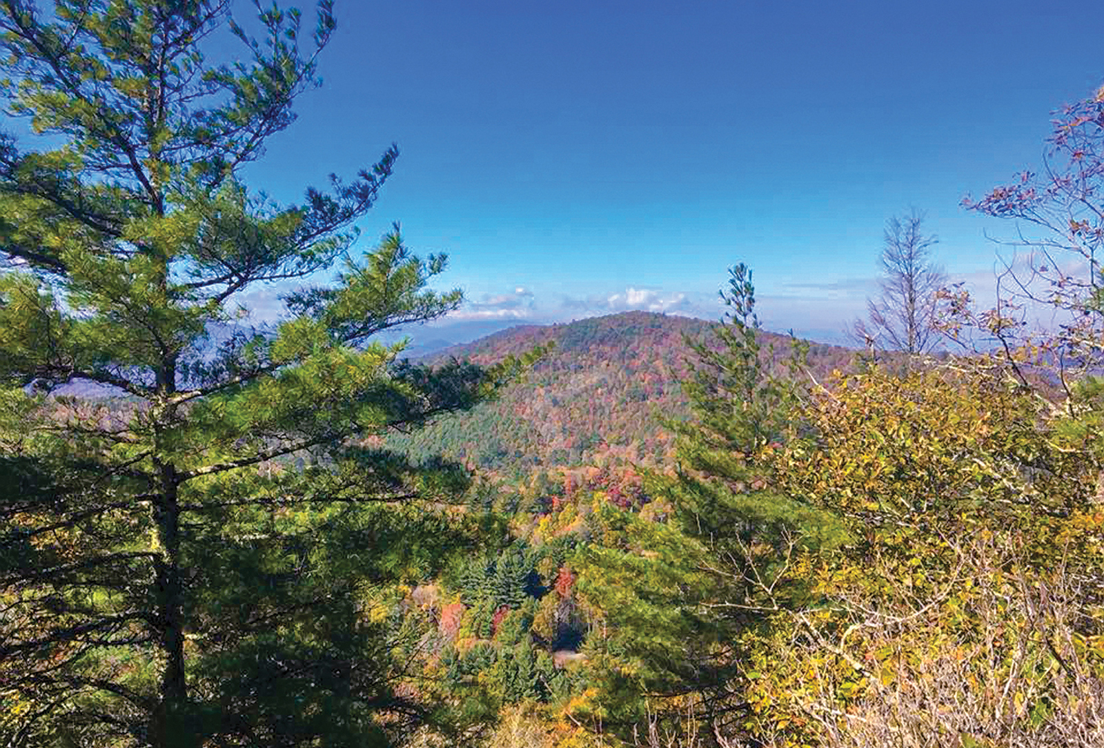 highlands nc cashiers nc cole mountain