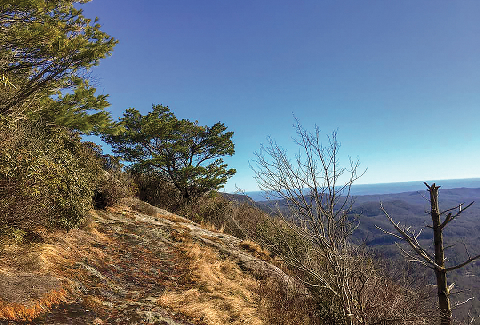 whiteside mountain emily crowell