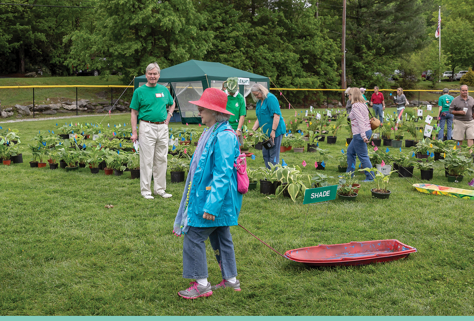 highlands nc mountain garden club plant sale