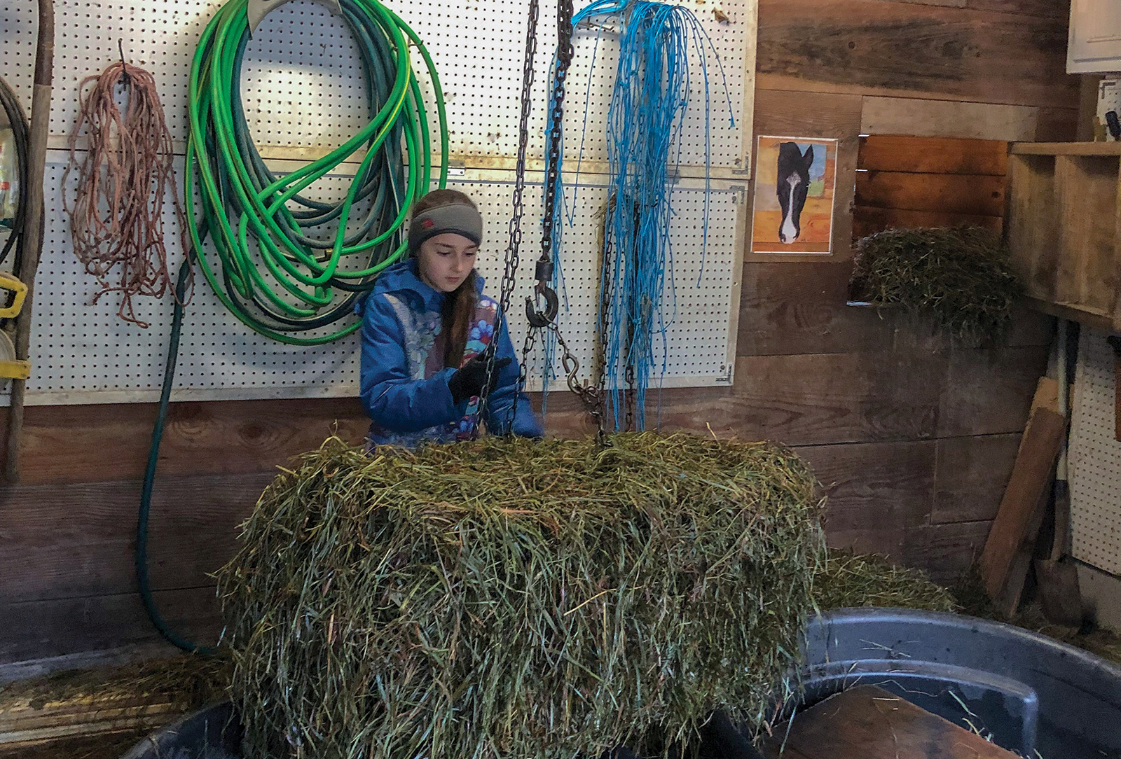 highlands nc carpe diem farms volunteer