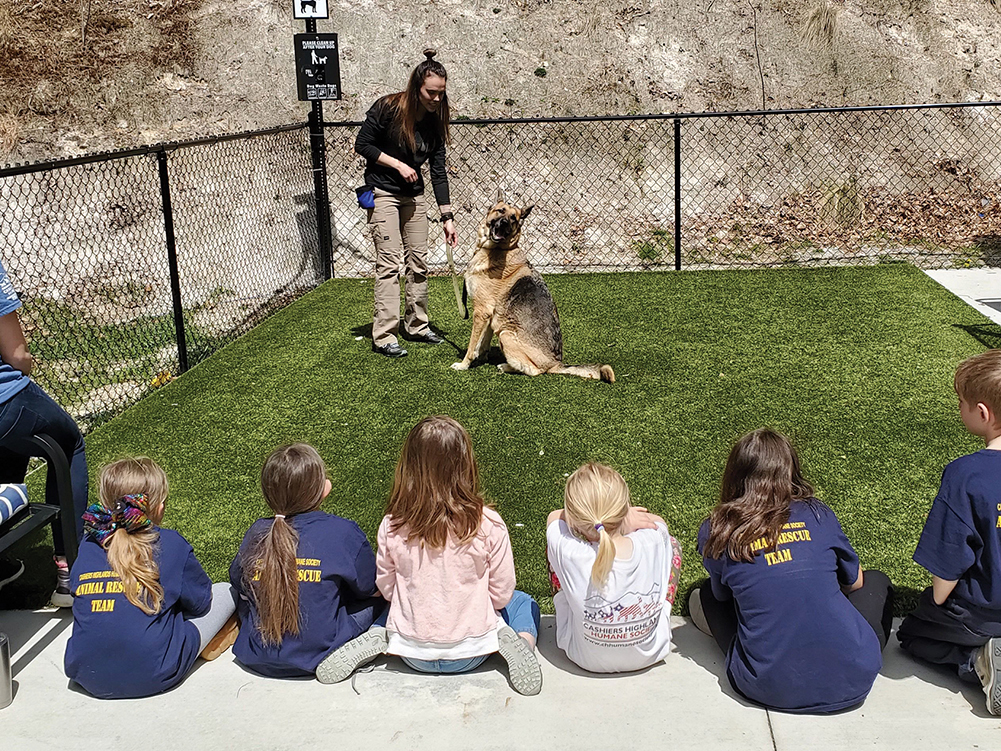 cashiers highlands humane society