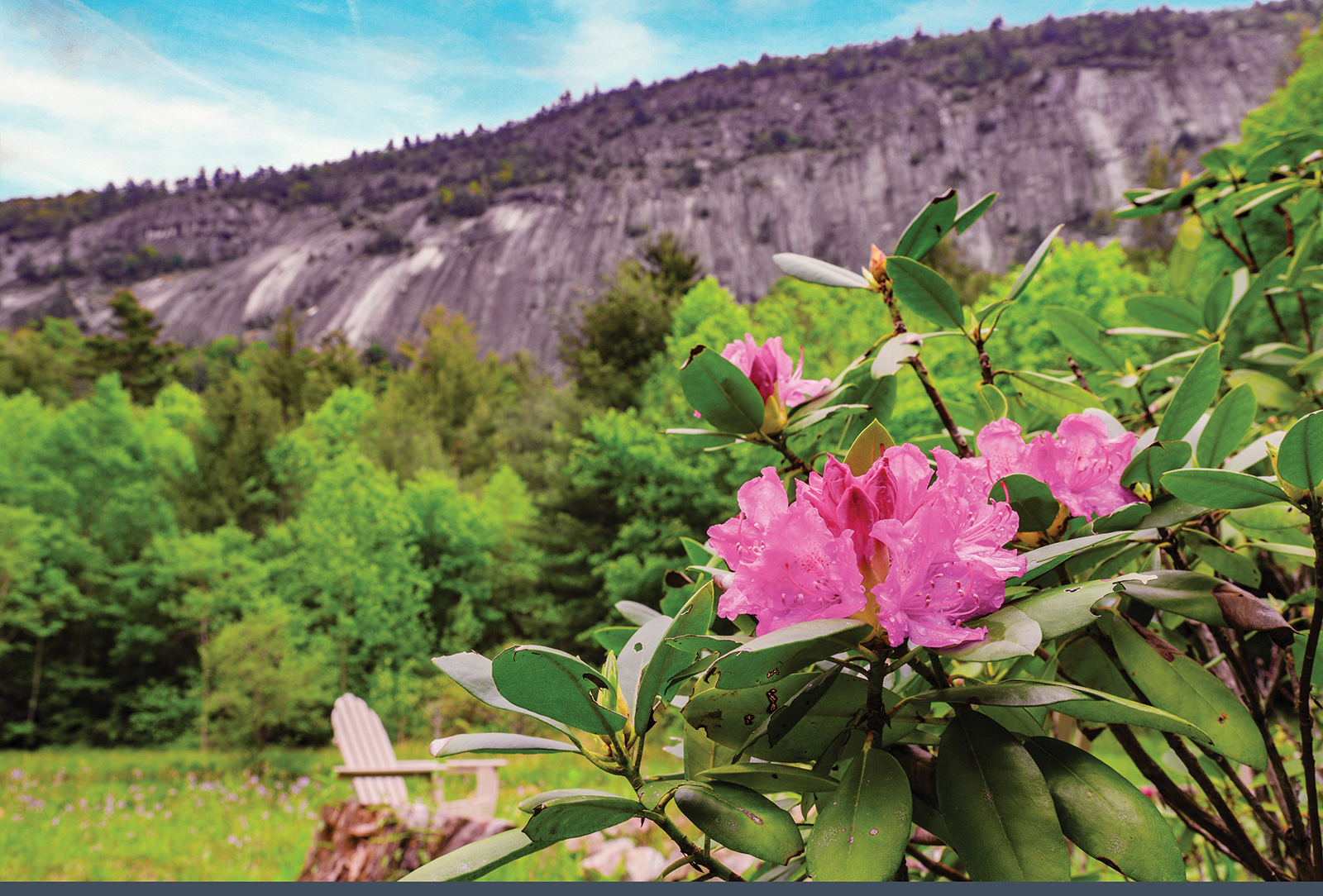 cashiers nc highlands nc cashiers designer showhouse rhodo2